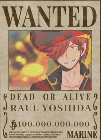 cartel de se busca one pice